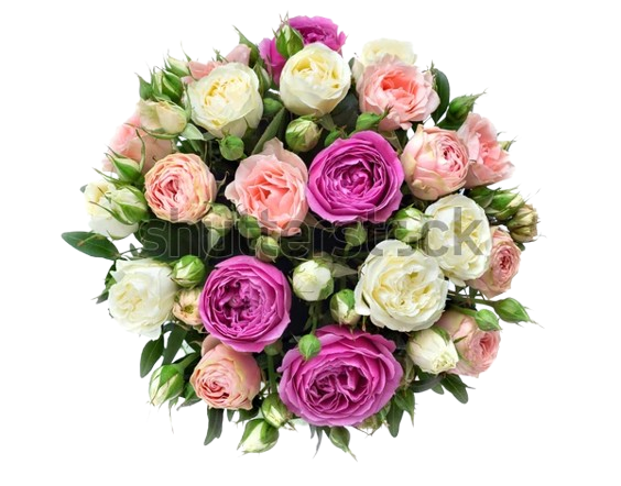 Bouquet de roses